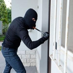 California Theft Defense